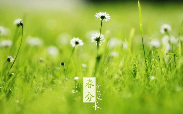 即就是东风十里，依然不如你